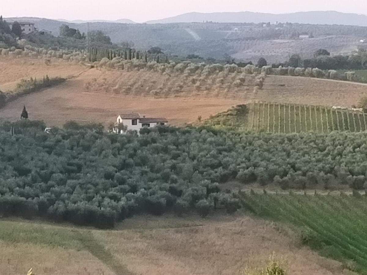 Villa Degli Olivi Nature Siena Kültér fotó