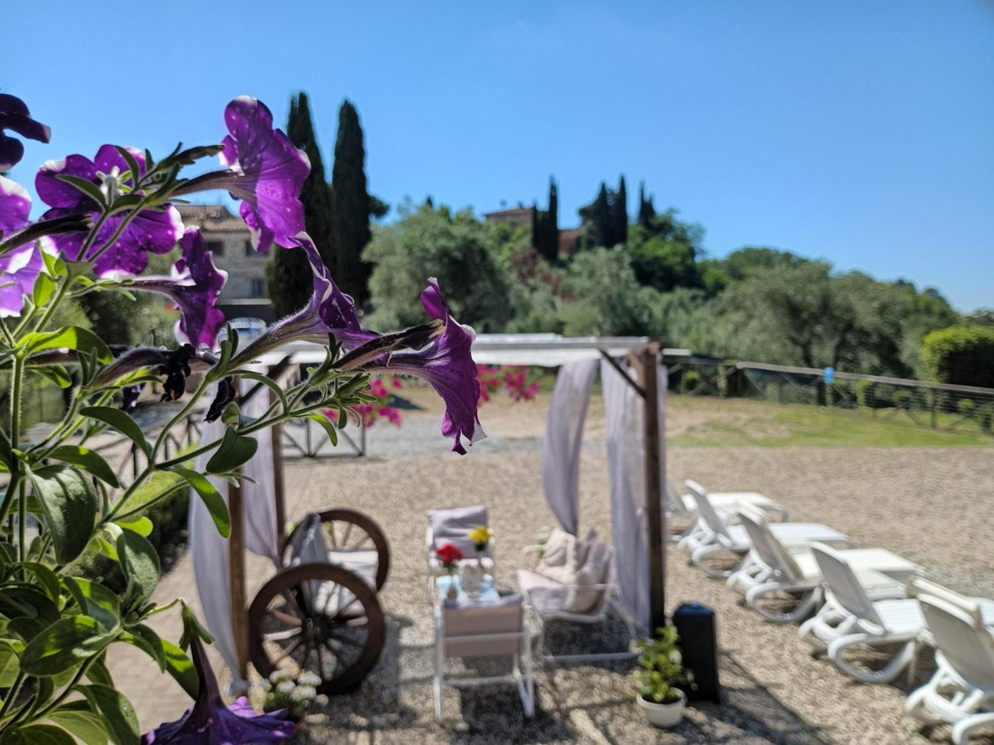 Villa Degli Olivi Nature Siena Kültér fotó