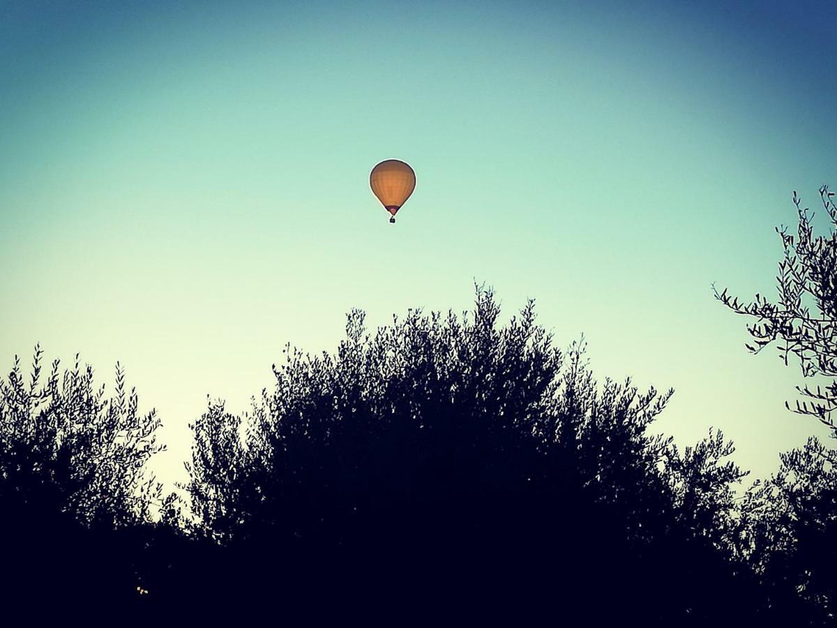 Villa Degli Olivi Nature Siena Kültér fotó